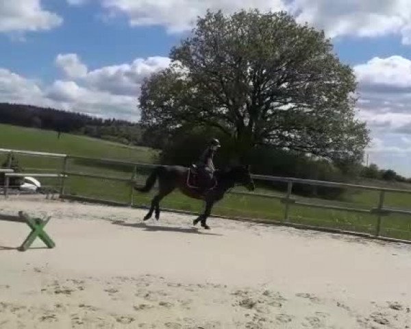 Video de Bella Donnah