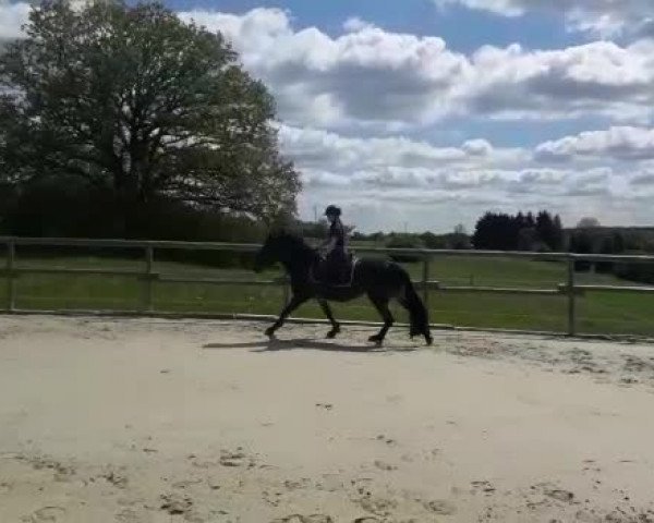 Video de Bella Donnah