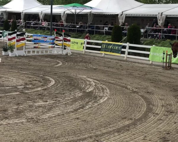 Video of Cranford