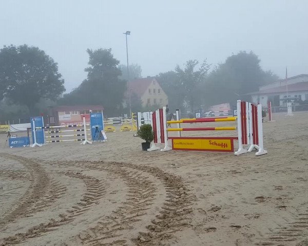 Reitturnier Bodenfelde 2018
