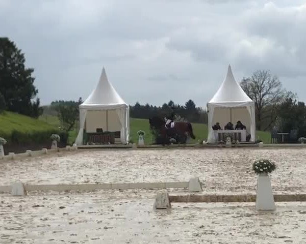 Reitturnier Wipperfürth-Kreuzberg 2019