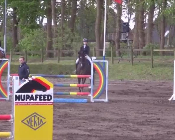 Reitturnier Mildstedt 2019