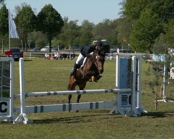 broodmare Lascana (German Riding Pony, 2001, from Legat)