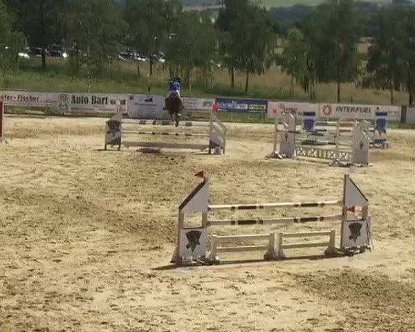 Video von Gatsby 161
