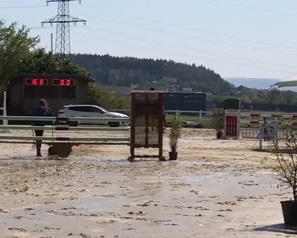 Video von Fee 883