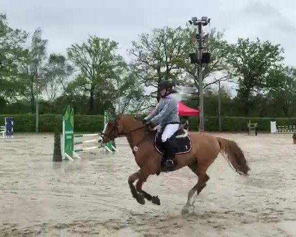 Video of Dandino A