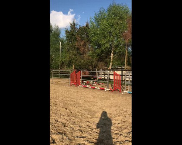 Video of Butterfly Flip 5