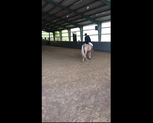 Video of Cremers Valentino