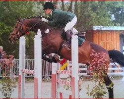 jumper Enrice L (Hanoverian, 2005, from Earl)