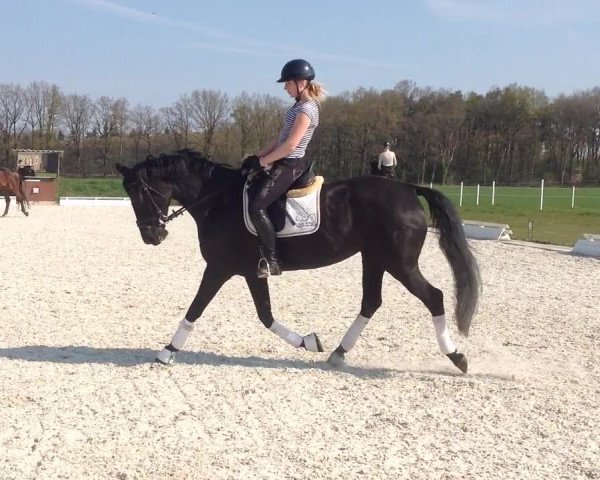 Video von Laurenzia 10