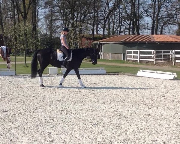 Video von Laurenzia 10