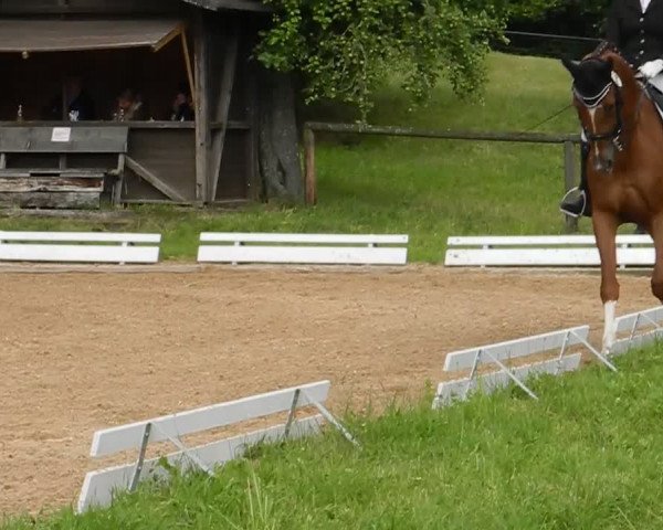 Video von San Rubinio