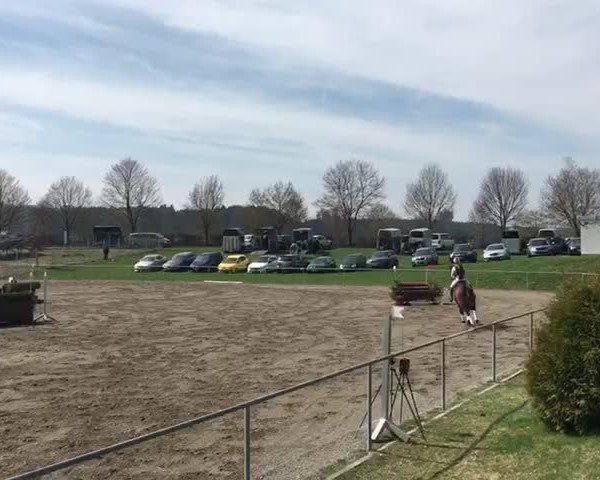 Video von Calimero 557