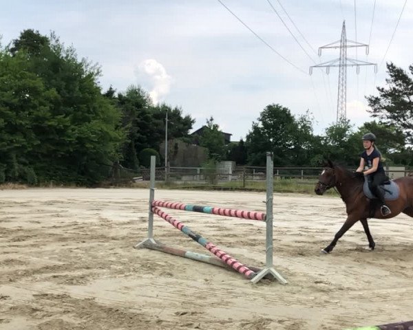 Video von Jessi 61