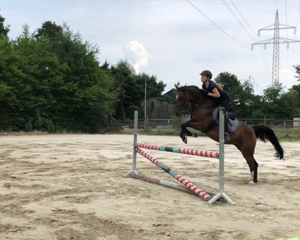 Video von Jessi 61