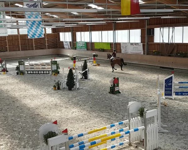 Reitturnier Krombach/Hof-Hauenstein/Ufr. 2019