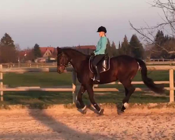 Video of Kokain 9