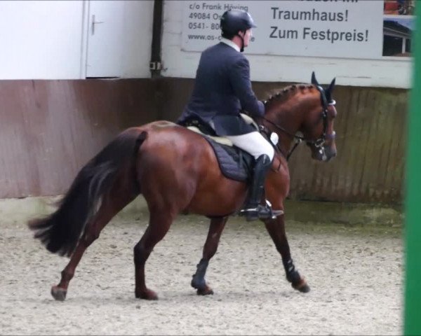 Video of Duke of Duncan MK