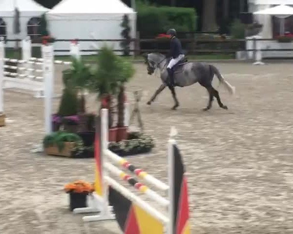 Video von Stanley 208