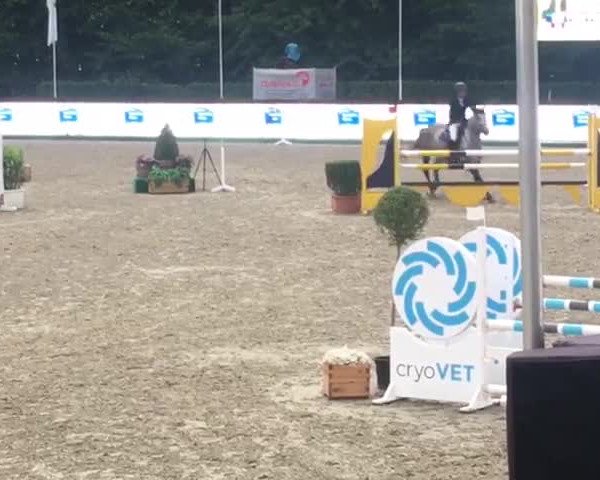 Video von Stanley 208