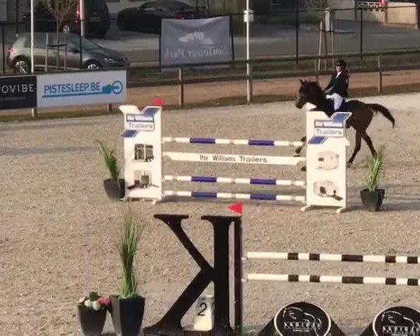 Video of Coco