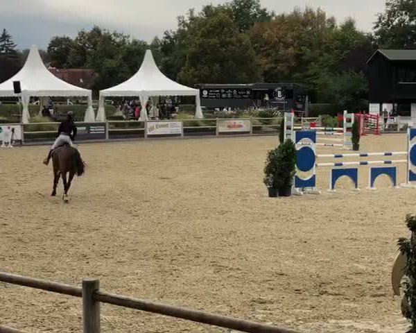 Video von Con Casira RB