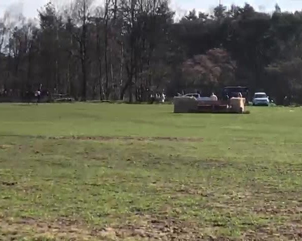 Video of D' Artagnan 6