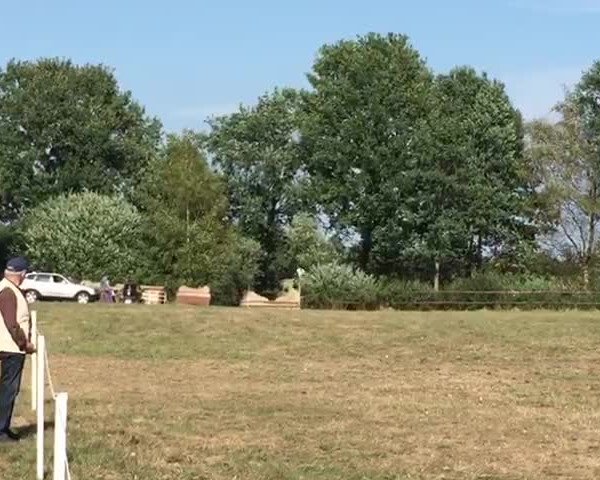 Video of Chrystella