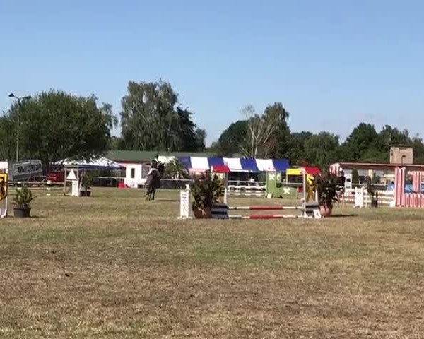 Video of Lunado