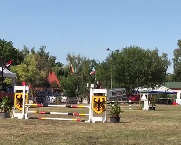 Video of Lunado
