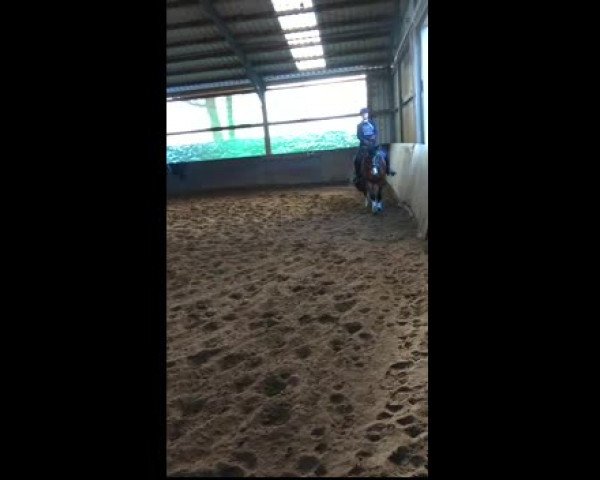 Video of Charming Pearl