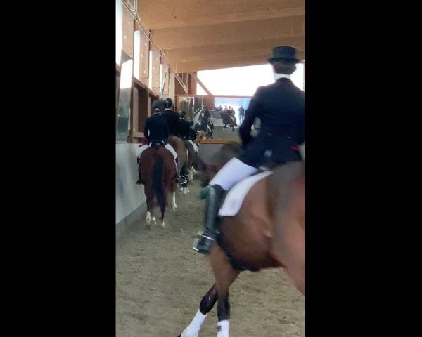 Video von Giotto N