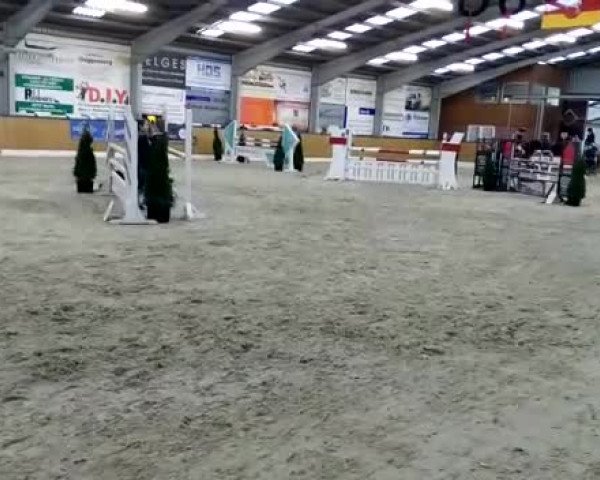 Video of Lord Fenner S