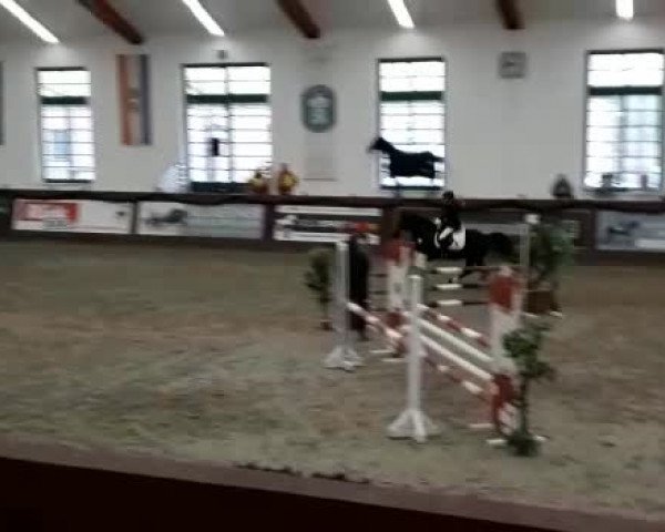 Reitturnier Redefin 2019