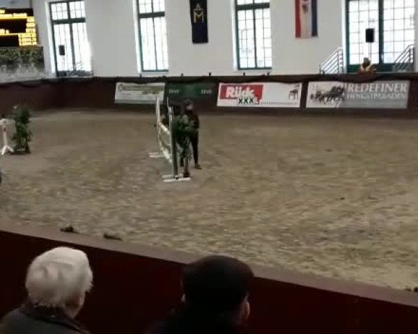 Reitturnier Redefin 2019