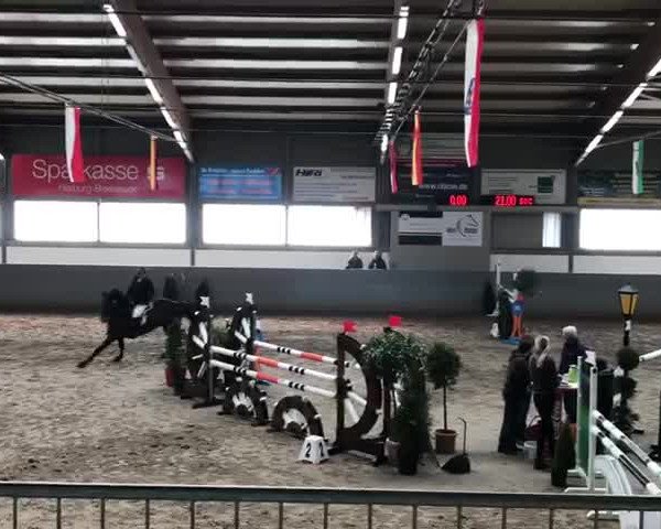 Video of Chrystella