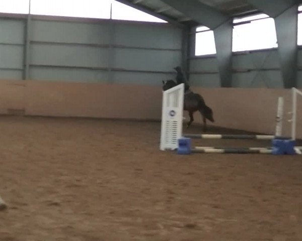 Video von Scheherazade 6