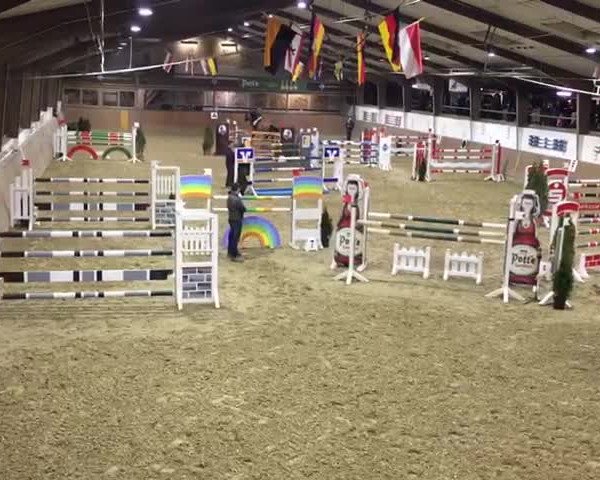 Reitturnier Oelde-Geisterholz 2019