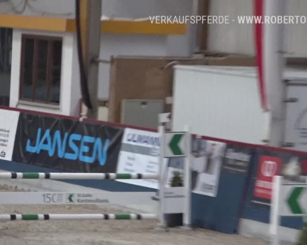Oberriet Nr.02 B/R100