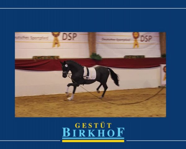 Video von Bohemian
