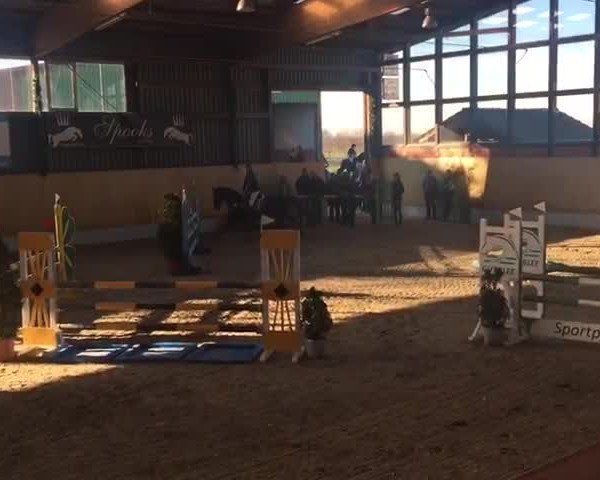 Reitturnier Monheim - Gut Blee 2019