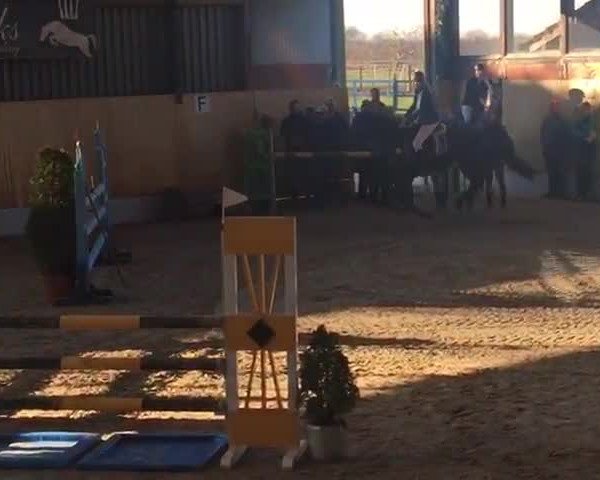 Reitturnier Monheim - Gut Blee 2019