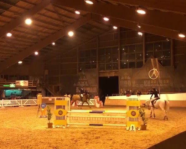 Reitturnier Wiesbaden Hofgut Adamstal 2018