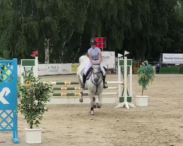 Reitturnier Elz 2018