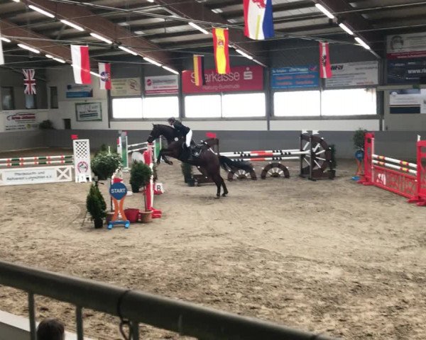 Video von Cavallano