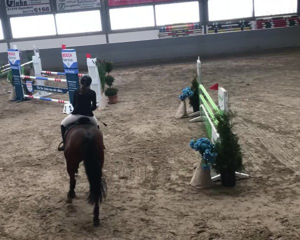Video von Cavallano