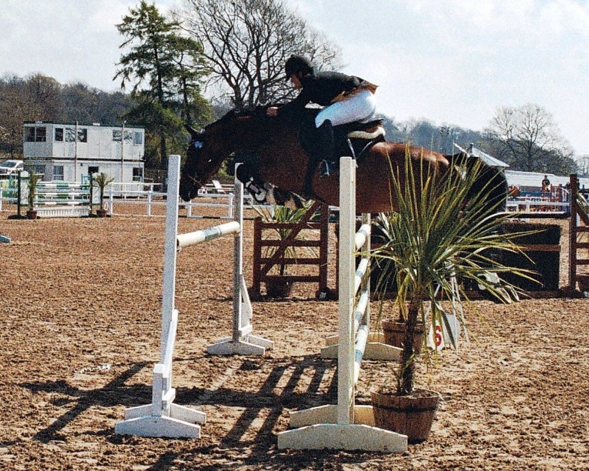 Deckhengst Lord Caletto GZ (Holsteiner, 1991, von Lord)