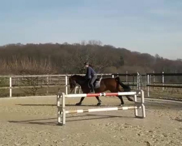 Video of Dk No Limit