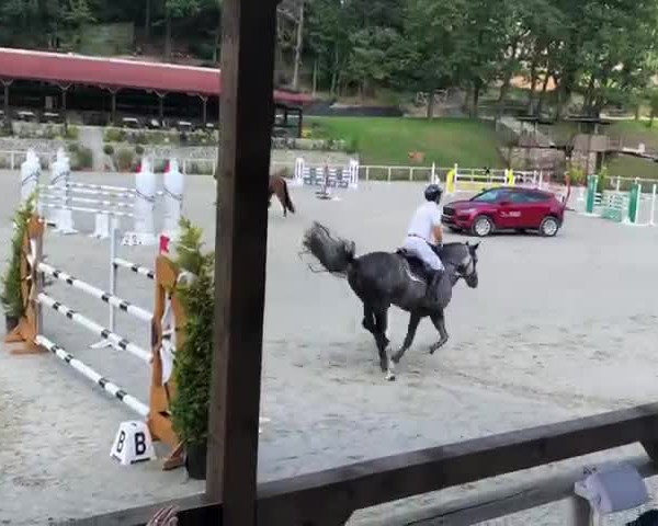 Video von Chavi