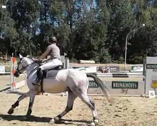 Video von Cascardel